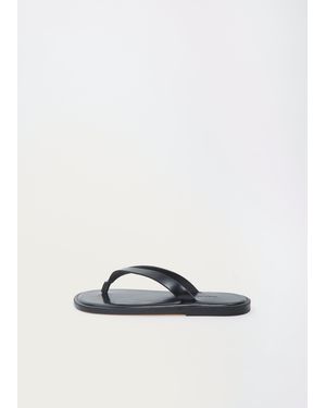 AURALEE Leather Thong Sandals - White