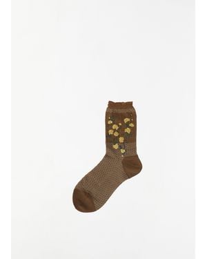Antipast Flower On Basket Socks - White