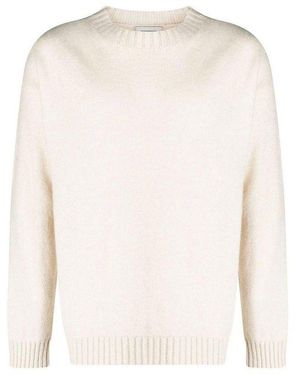 Laneus Round Neck - White