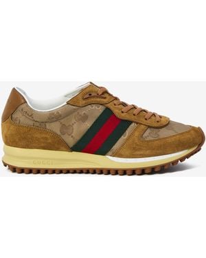 Gucci Nora Sneak - Multicolour