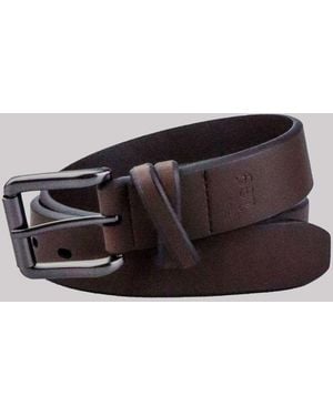 Lee Jeans Womens Square Buckle Double Loop Belt - Brown