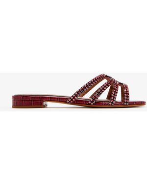 Nicoli Kalene Flat Sandals - Brown