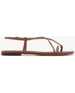 Sam Edelman Calla Sandals - Brown