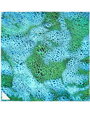 Amel Batita Alga Small Moussard Scarf - Blue