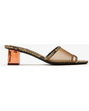 Saint Laurent Sip Mules - Brown