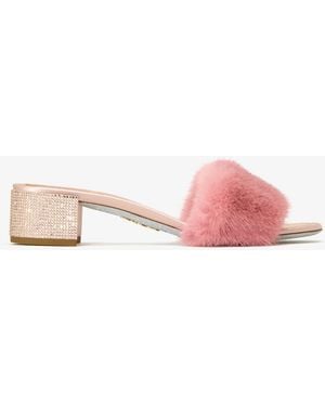 Rene Caovilla Lindsey Mules - Pink