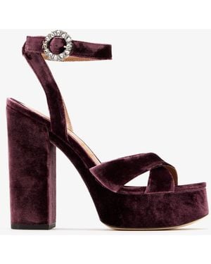 Sam Edelman Savannah Sandals - White