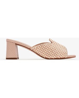Nicoli Remus Sandals - Pink