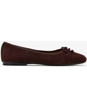 Sam Edelman Allie Ballerinas - Brown