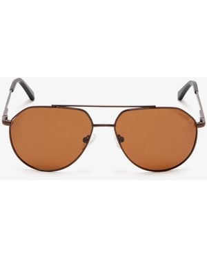 Roderer Edgar Aviator Sunglasses - Brown