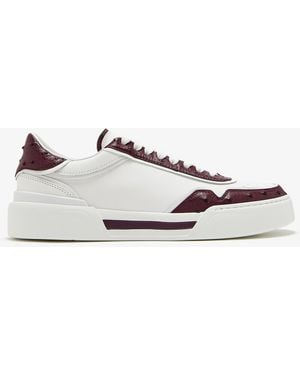 Dolce & Gabbana New Roma Sneakers - White