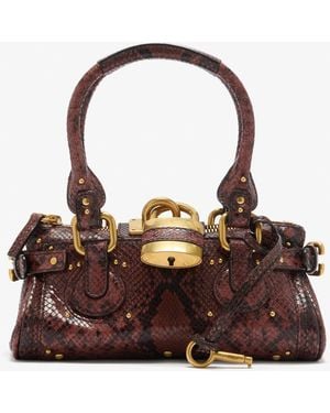 Chloé Small Paddington Tote Bag - Brown