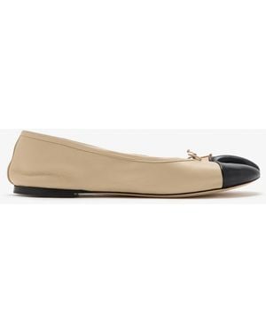 Christen Tabi Stretch Ballerinas - White