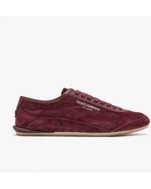 Dolce & Gabbana Gimondi Sneakers - Purple