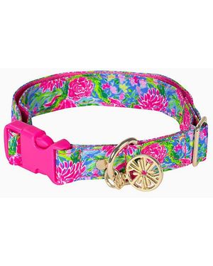 Lilly Pulitzer Dog Collar - Pink