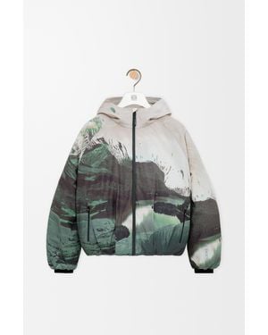 Loewe Puffer Jacket - Multicolour