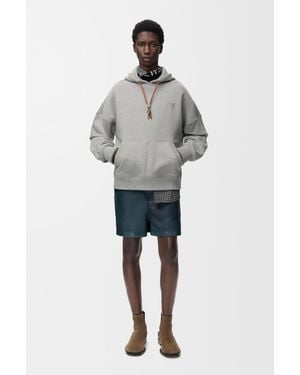Loewe Hoodie - Gray