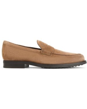 Tod's Tabacco Suede Loafer - Brown