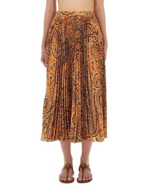 Etro Pleated Sablé Skirt With Print - Brown