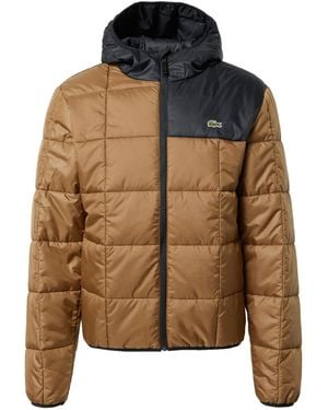 Lacoste Waterproof Colour-Block Puffer Jacket - Brown