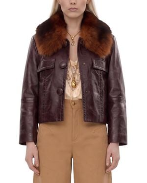 Chloé Giacca Corta - Brown