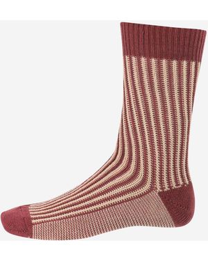 ANT45 Cotton Short Capri Socks - Brown