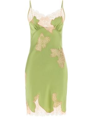 Vaillant Signature Lace Dresses Green