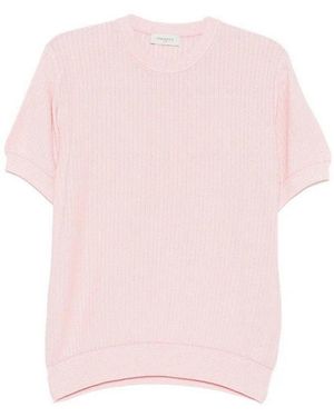 Piacenza Cashmere Short Sleeve Crew-Neck Sweater - Pink