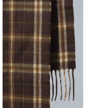 Celine Cashmere Scarf - Brown
