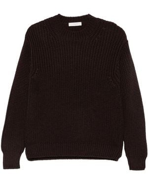 Zanone Maglione Girocollo A Maglia Spessa - Black