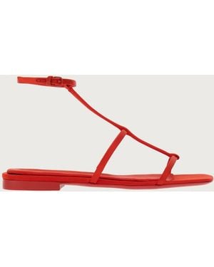 Ferragamo Sandal - Red