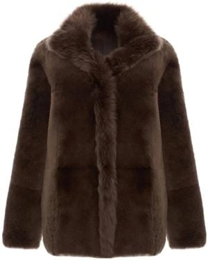 Bigardini Cappotto - Marrone