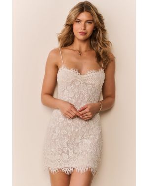 chinese dress ladies Poised Perfection Halter Open Back Lace Mini Dress