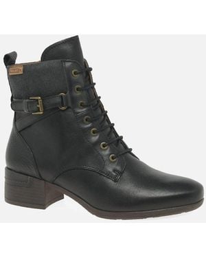 Pikolinos Marcia Ankle Boots - Black