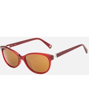Loewe Acetate Bracelet Shiny Burgundy Dial Watch - Brown
