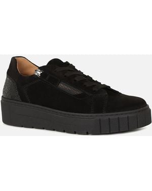 Gabor Ferry Trainers - Black