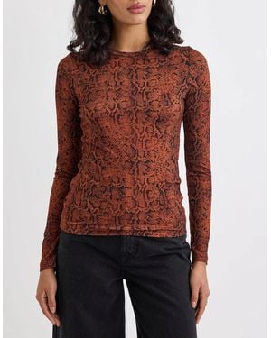Nobody's Child Spencer Animal Print Long Sleeve Top - Red