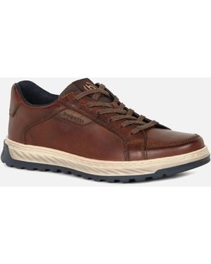 Bugatti Crantock Trainers - Brown