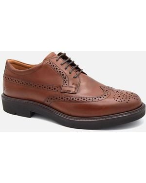 Ecco Metro Brogue Shoe - Brown