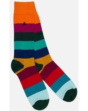 Swole Panda Bamboo Socks Stripe Block - White