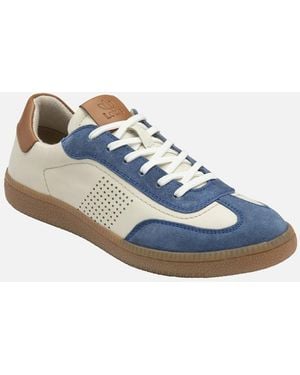 Lotus Frapporta Trainers - Blue
