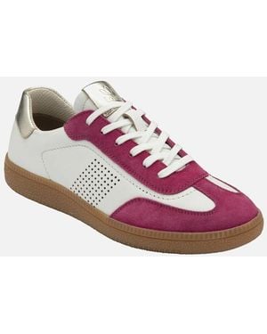 Lotus Frapporta Trainers - Pink