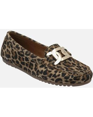 Lotus Martino Loafers - Brown