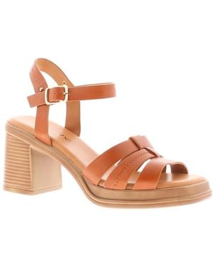 Apache Heeled Sandals Charlie Buckle Tan Uk Size - Pink