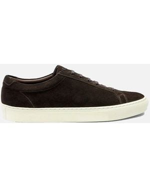 Loake Sprint Casual Shoe Dark Suede - Black