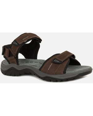 Josef Seibel Arlo 01 Sandals - Black