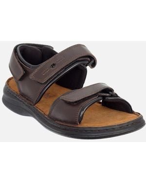 Josef Seibel Rafe Sandals - Brown