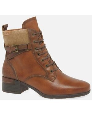 Pikolinos Marcia Ankle Boots - Brown