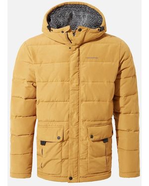 Craghoppers Trillick Downhike Padded Jacket - Yellow