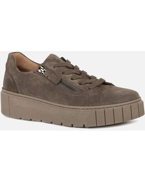 Gabor Ferry Trainers - Brown